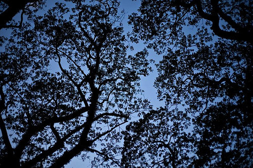 10398836_105668396500_5878700_n