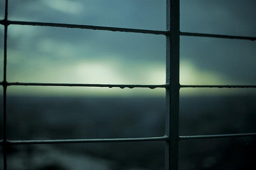 10398836_106187436500_1762101_n