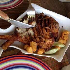 1071725_10152113561981501_1277821442_o