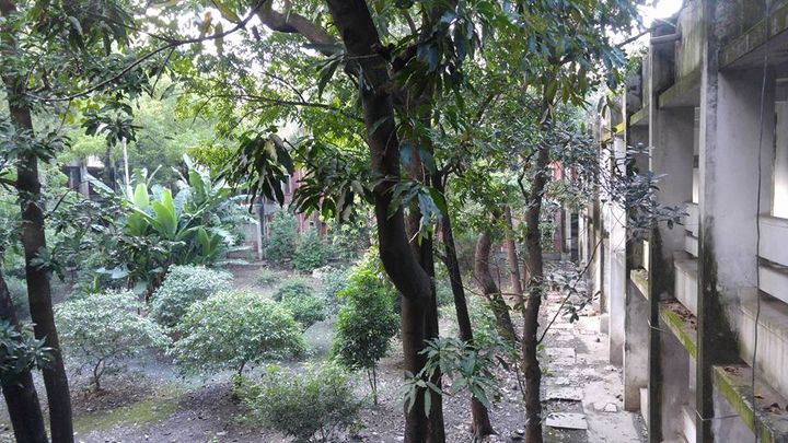 12096525_10153722268766501_6036354853448407719_n