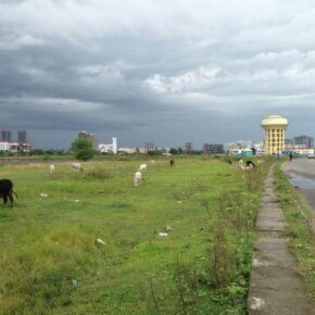 1408069_10152293703346501_1539570280_o