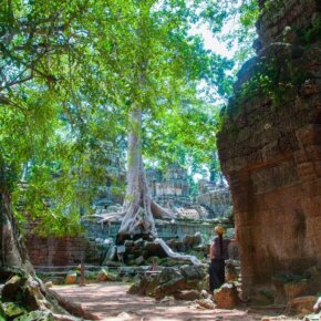 14205932_10154413392541501_8065765225798543320_o