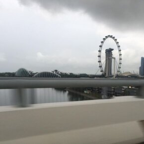 18193273_10155092071146501_5315009540361282630_o