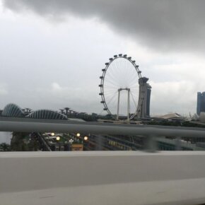 18209015_10155092071206501_5188347093514452623_o