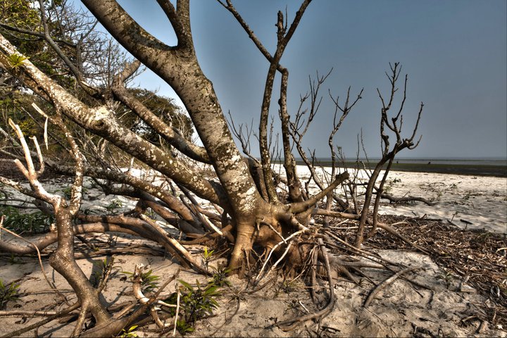 183309_10150092973576501_4527290_n