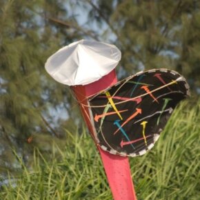 1930788_35349556500_2752_n