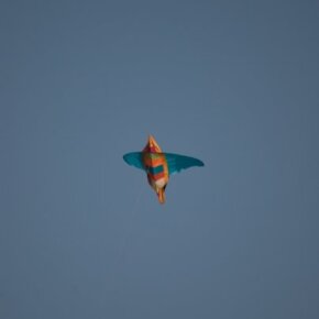 1930788_35349561500_2992_n