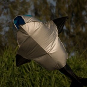 1930788_35349566500_3219_n