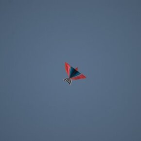 1930788_35349571500_3455_n