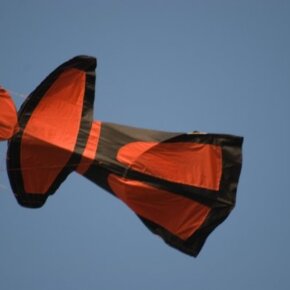 1930788_35349576500_3690_n