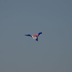 1930788_35350051500_4842_n