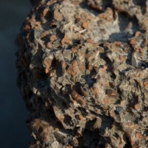 1930788_35350056500_5092_n