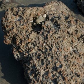 1930788_35350061500_5366_n