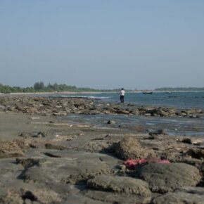 1930788_35350066500_5654_n