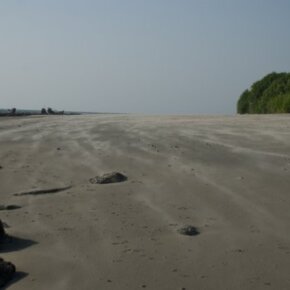 1930788_35350071500_5922_n