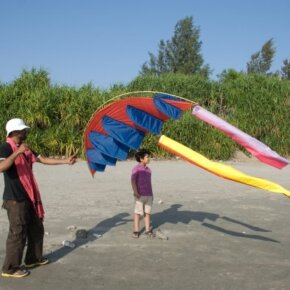 1930788_35350081500_6468_n