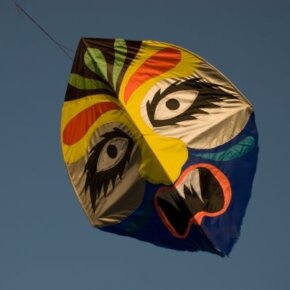 1930788_35350131500_9365_n