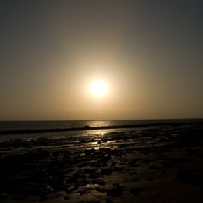 1930788_35350141500_9632_n