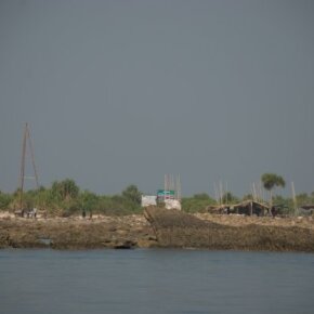 1930788_35350596500_3288_n