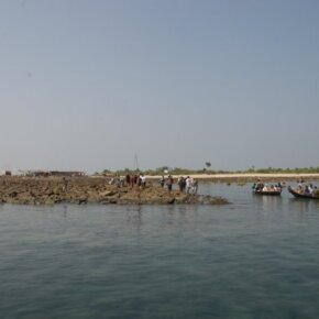 1930788_35350616500_3980_n