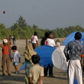 1930788_35799401500_3889_n