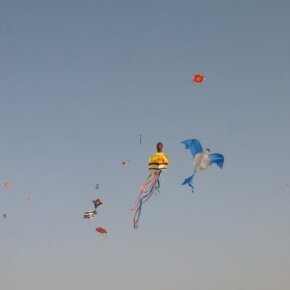 1930788_35799406500_4130_n