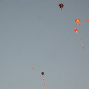 1930788_35799421500_4597_n