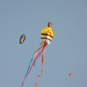 1930788_35799436500_5087_n