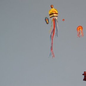 1930788_35799441500_5330_n