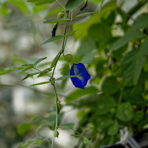 1931011_33217321500_9942_n