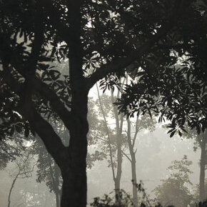 1931011_33344041500_4282_n