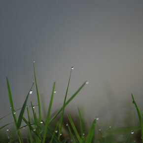 1931011_33344086500_1074_n