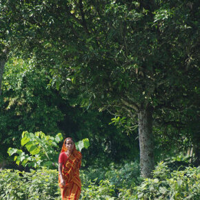 1931011_33344191500_7700_n