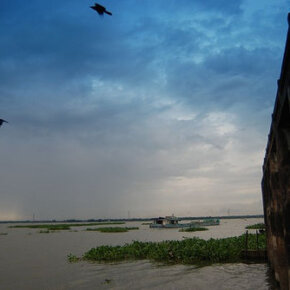 1931011_33344206500_6505_n