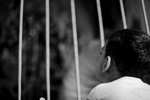 1931546_146707186500_6743235_n