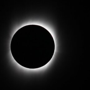 1933999_110982846500_6433015_n