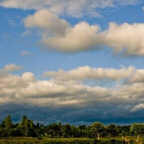 1934003_112916876500_7369521_n