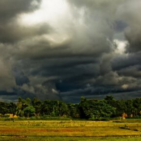 1934003_112916881500_3692284_n