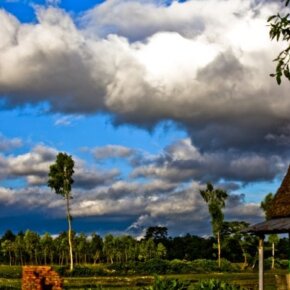 1934003_112916886500_2309678_n