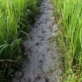 194548_10151056374591501_1503403178_o