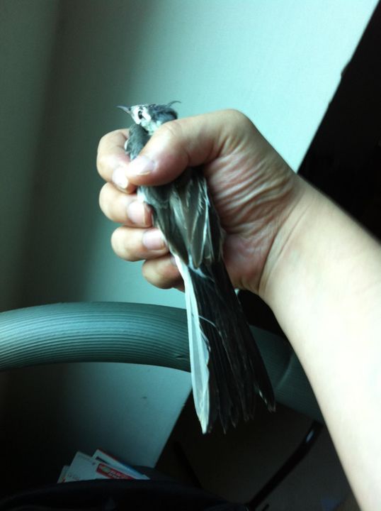 194747_10150350461621501_1874438181_o