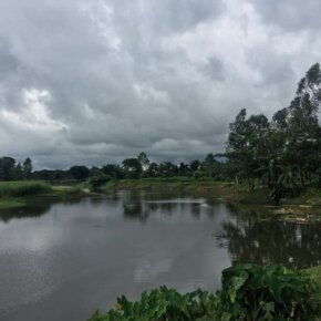 19554060_10155276057821501_9118787746004486631_n