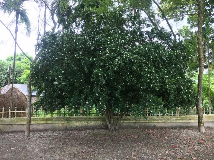 19656993_10155280631211501_7145991423501250632_n