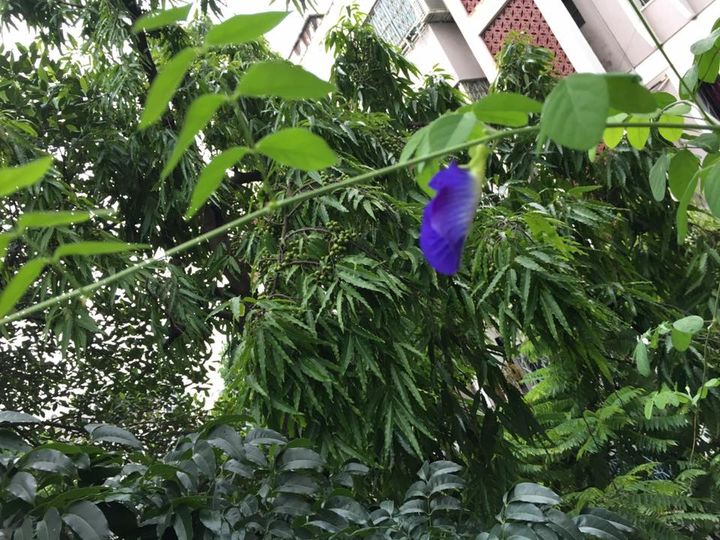 19702433_10155279869381501_208174819927494815_n