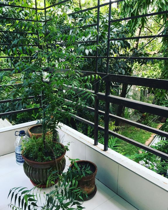 19956992_10155313190571501_2271044189959324347_o