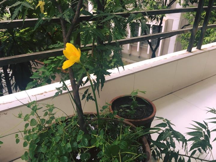 20108298_10155330237271501_3676382689970137213_n