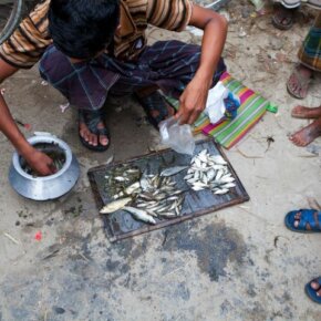 201103_10151056368226501_163605100_o