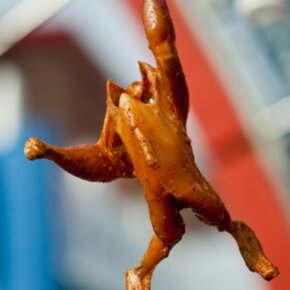 20131_251323171500_2082070_n