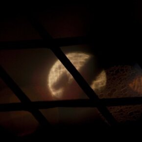 20131_265398261500_3155815_n