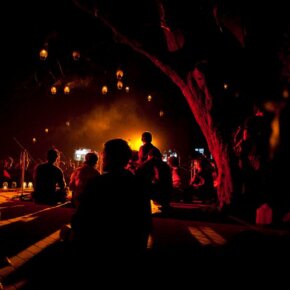 205572_10150155226516501_7831670_n